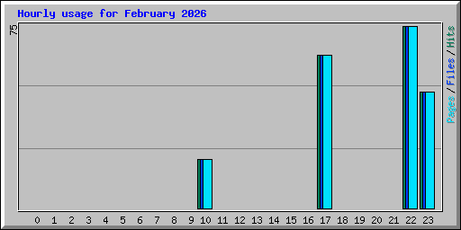 Hourly usage for February 2026